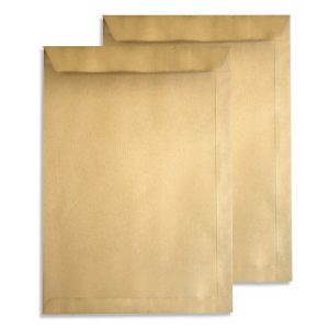 Lot de deux enveloppes F38 en papier kraft brun haute résistance avec fermeture autocollante pour documents volumineux.